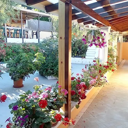 Marika Garden Studios Lejlighed Moraitika